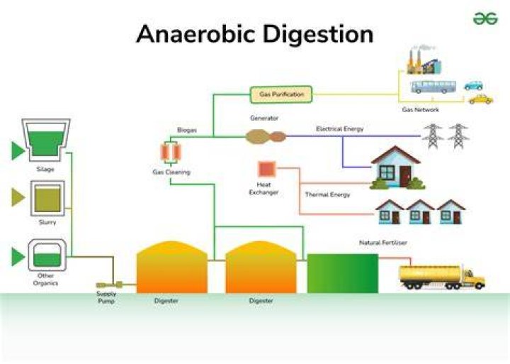 Anaerobes - How To Discuss