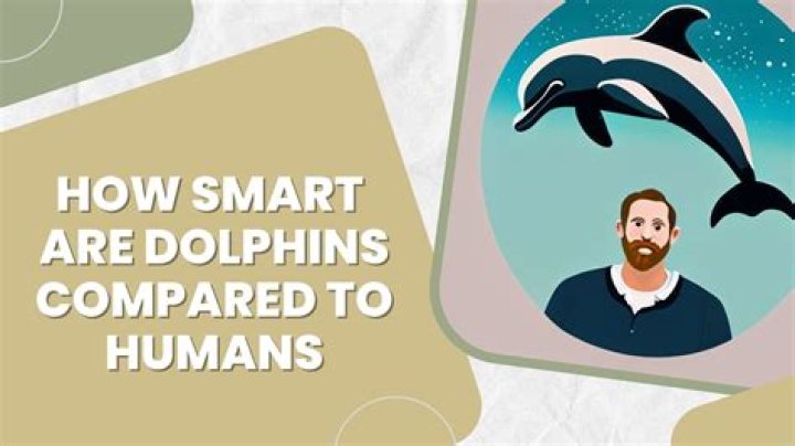 Are dolphins endangered - How To Discuss