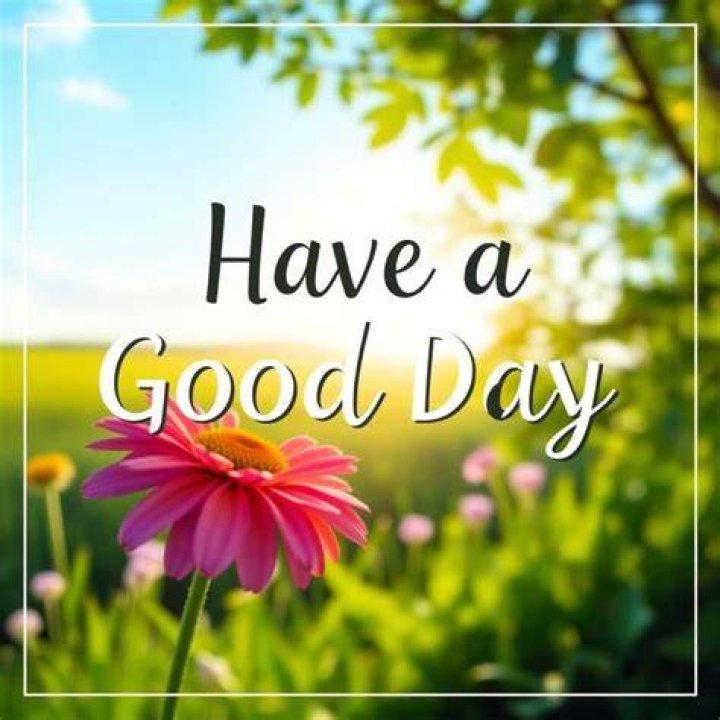 Arti Have A Nice Day