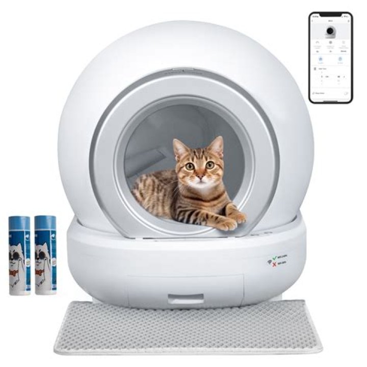 Automatic kitty litter box - How To Discuss