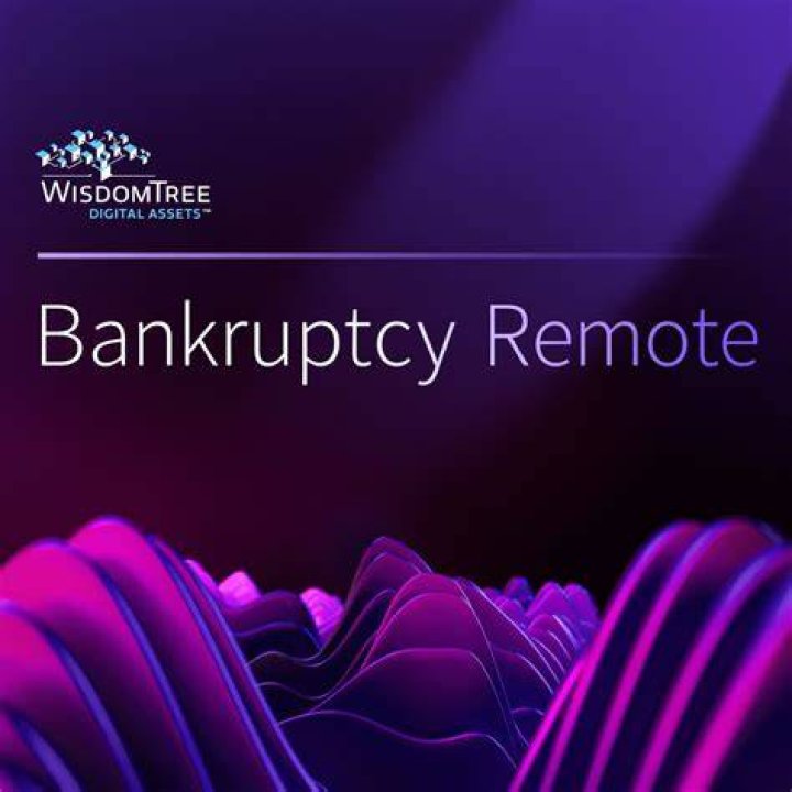 Bankruptcy remote - How To Discuss