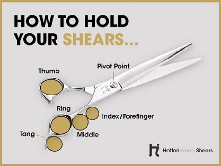 Best hair cutting shears - How To Discuss