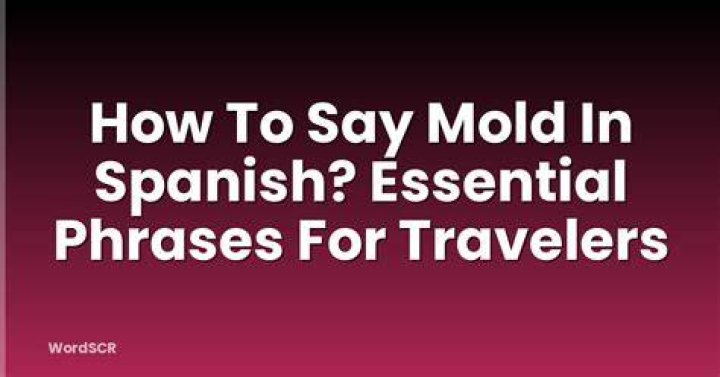 Black Mold In Spanish - How To Discuss