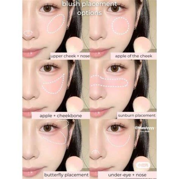 Blush brush - How To Discuss