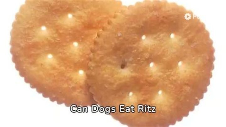 Can Dogs Eat Ritz Crackers