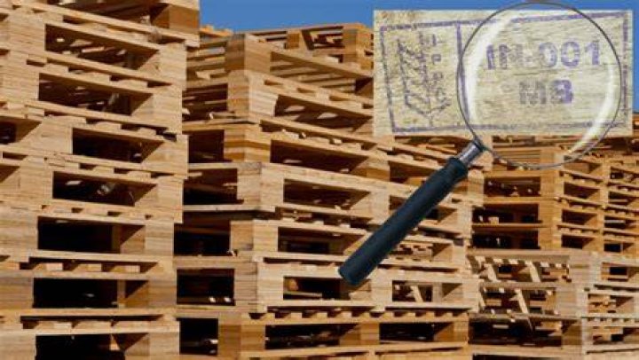 Can You Burn Pallets Australia