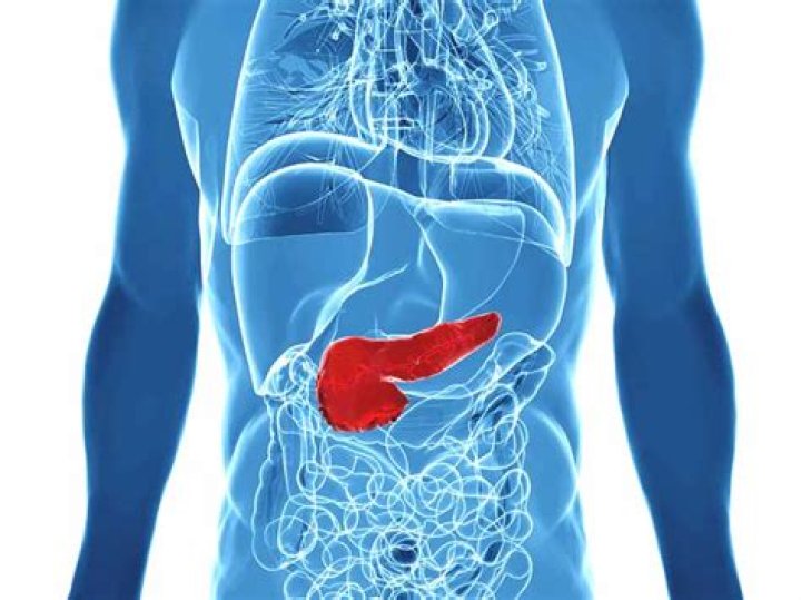 Can you live without a pancreas