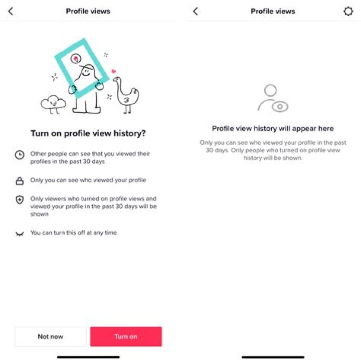 Can you see who views your TikTok?