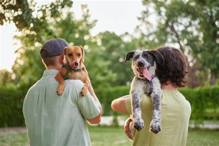 Canine Liability Exclusion - How To Discuss