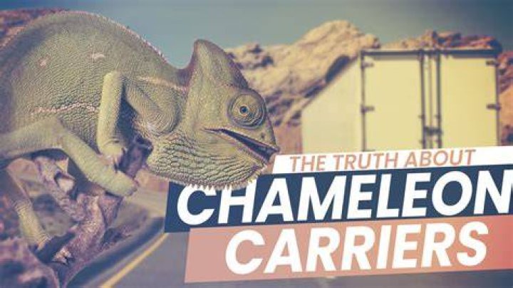 Chameleon Carrier - How To Discuss