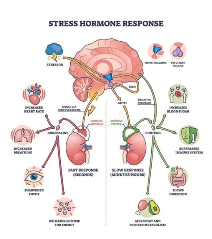 Chemical stressor - How To Discuss