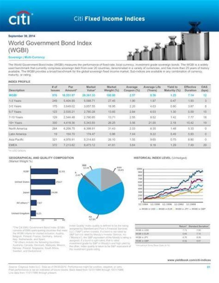 Citigroup World Government Bond Index (wgbi) (unhedged)