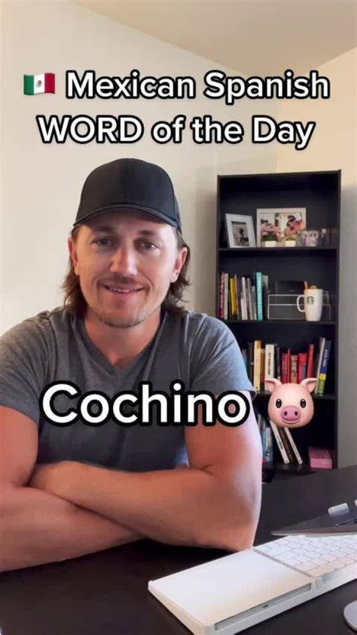 Cochino Meaning - How To Discuss