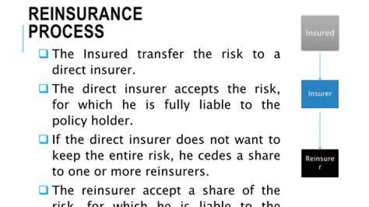 Commercial Insurer Or Reinsurer - How To Discuss