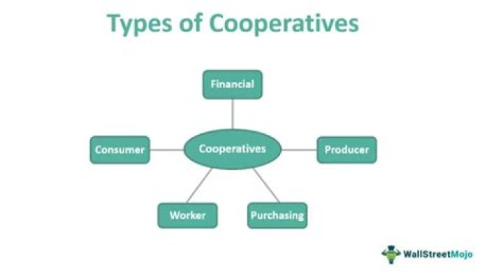 Cooperative business - How To Discuss