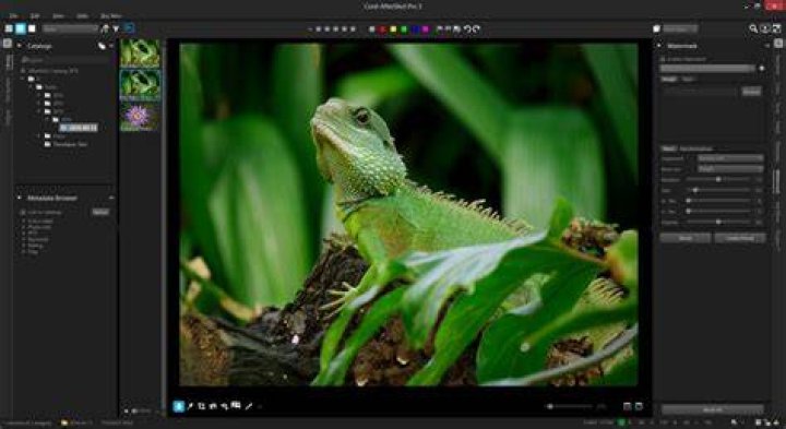 Corel Camera Plugin - How To Discuss