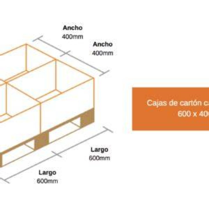 Cuantas Caguamas Trae Un Carton