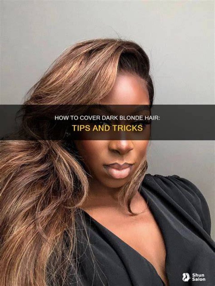 Dark blonde - How To Discuss