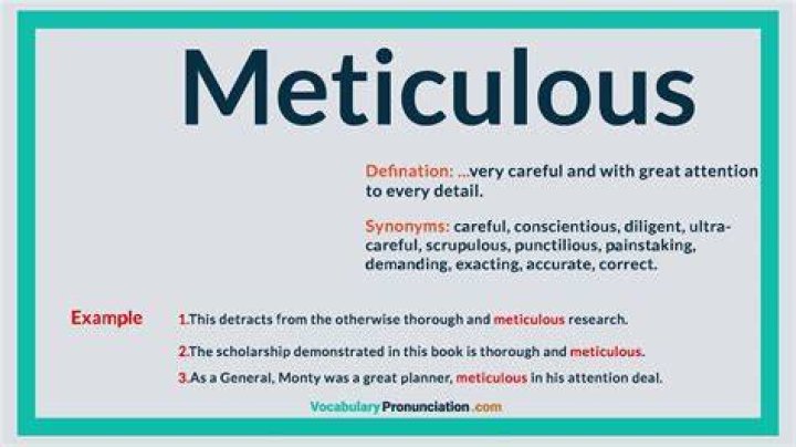 Define Meticulous - How To Discuss