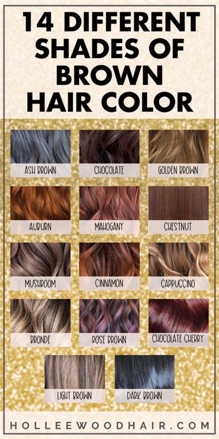 Different brown hair colors - How To Discuss