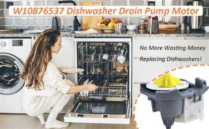 Dishwasher Drain Pump Replacement Cost