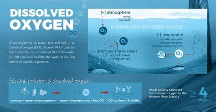 Dissolved oxygen (DO) - How To Discuss