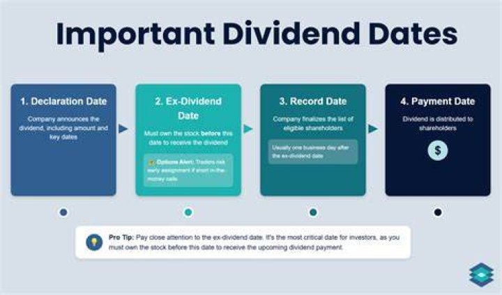 Dividend Year Started - How To Discuss
