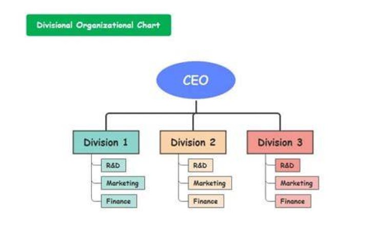 Divisional structure - How To Discuss