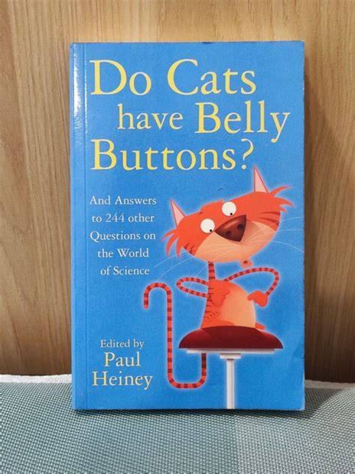Do Cats Have Belly Buttons
