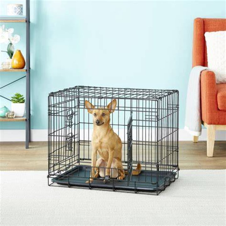 Dog Crate Bottom - How To Discuss