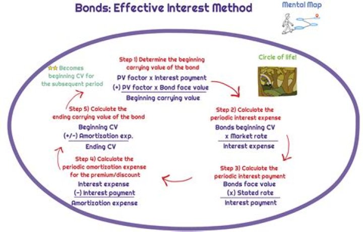 Effective Interest Method - How To Discuss