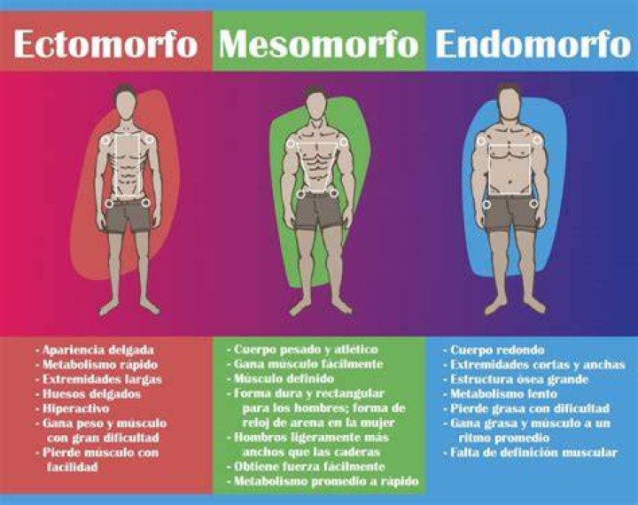 Endomorfo Definido - How To Discuss