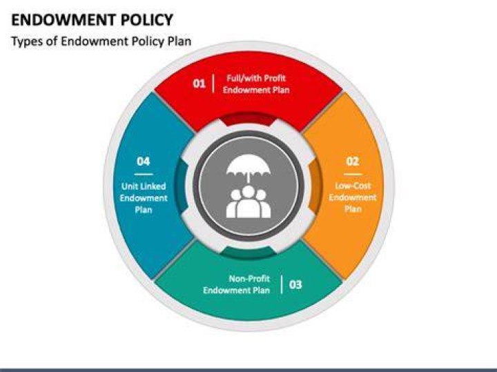 Endowment Life - How To Discuss