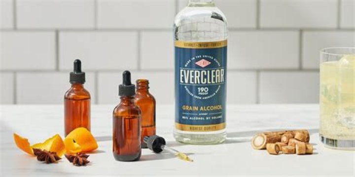 Everclear Michigan - How To Discuss