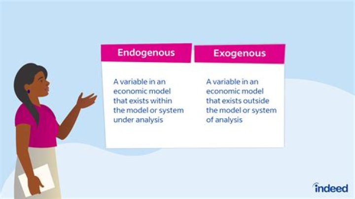Exogenous variable - How To Discuss