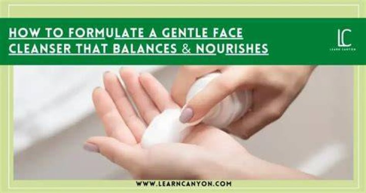 Gentle face cleanser - How To Discuss