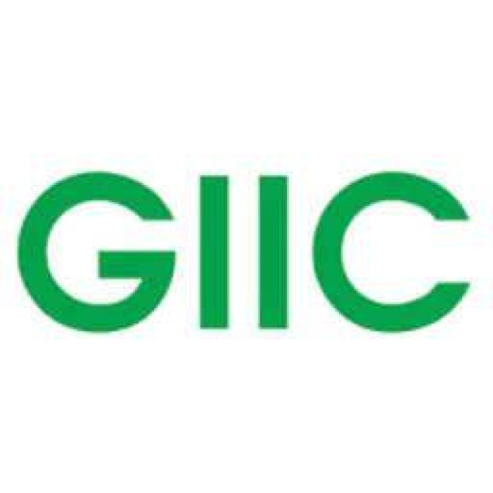 Global Information Infrastructure Commission (GIIC)