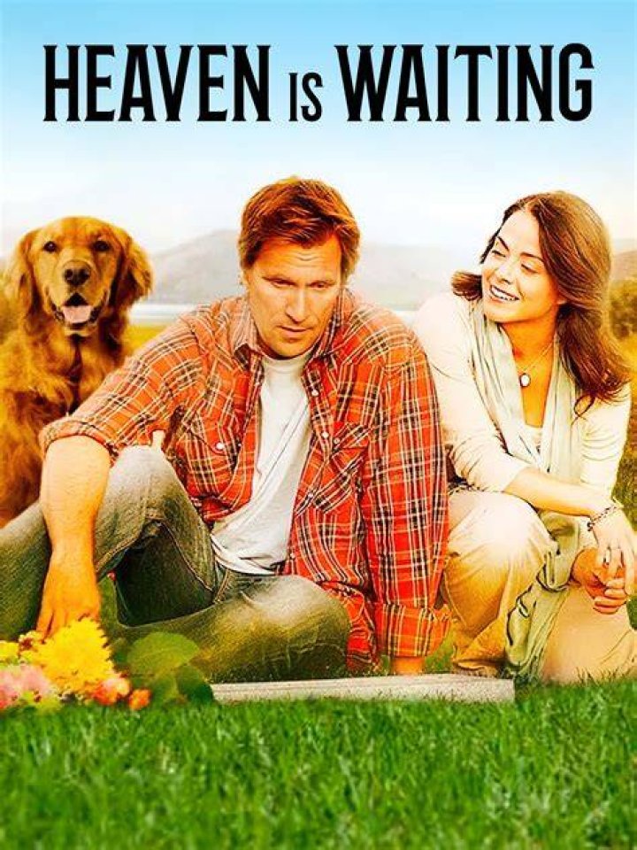 Heaven Is Waiting Movie - How To Discuss