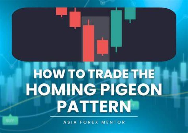 Homing pigeon - How To Discuss