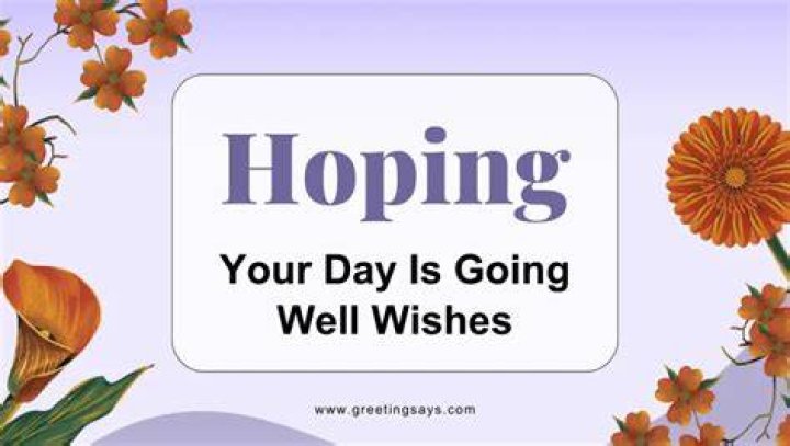 Hope Your Day Is Going Well