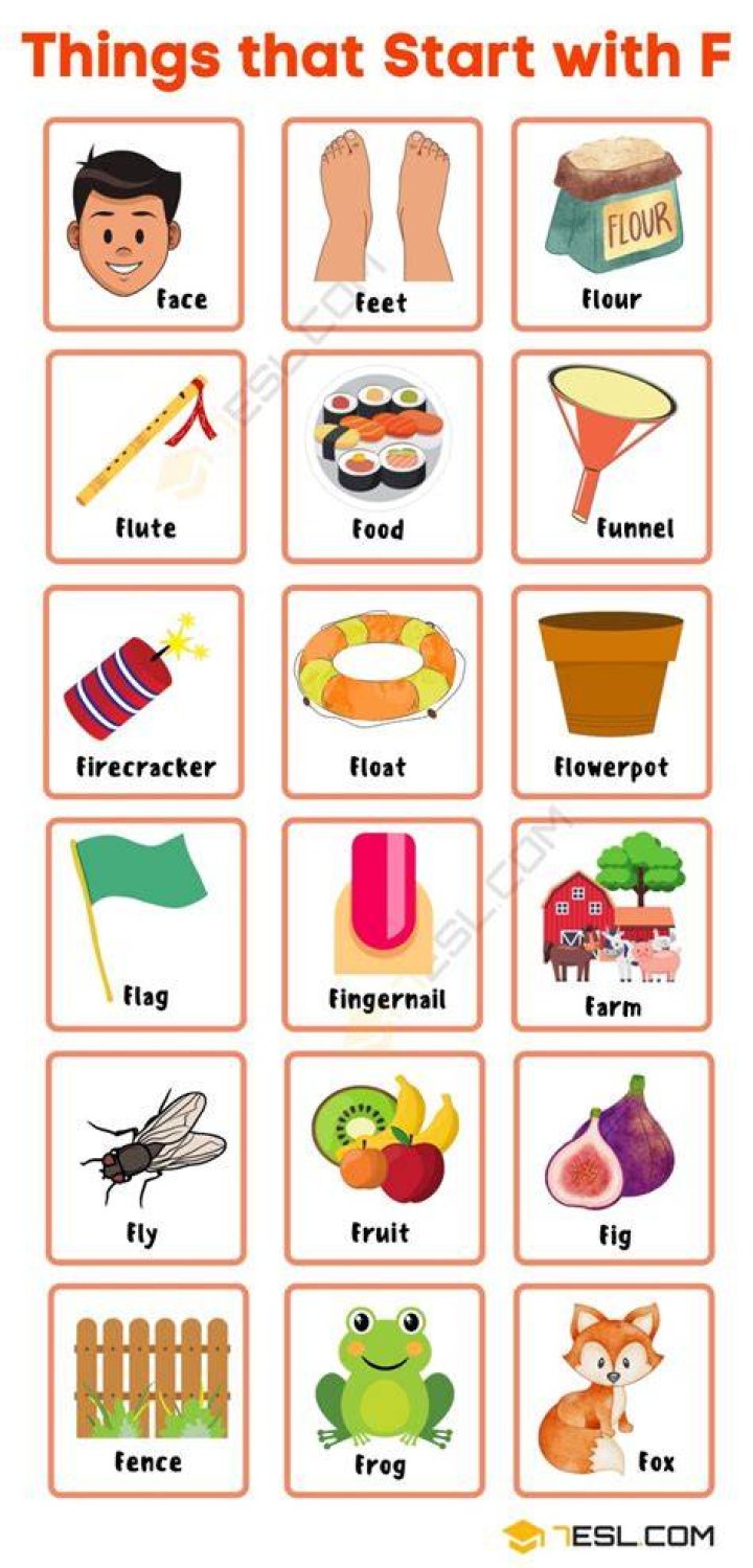 Household Items That Start With F