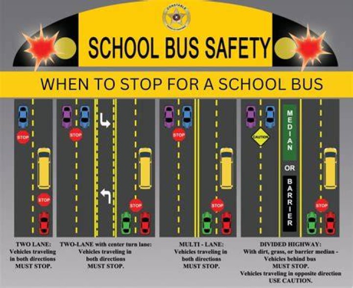 How Do School Buses Get Their Numbers