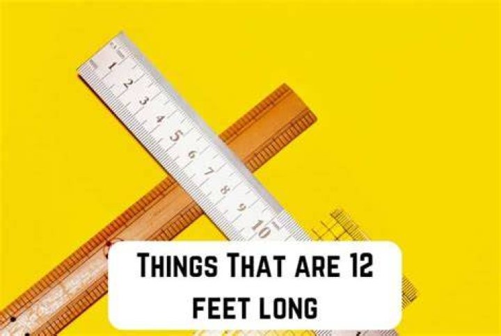 How Long Is 12 Feet