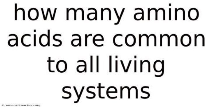 How Many Amino Acids Are Common To All Living Systems