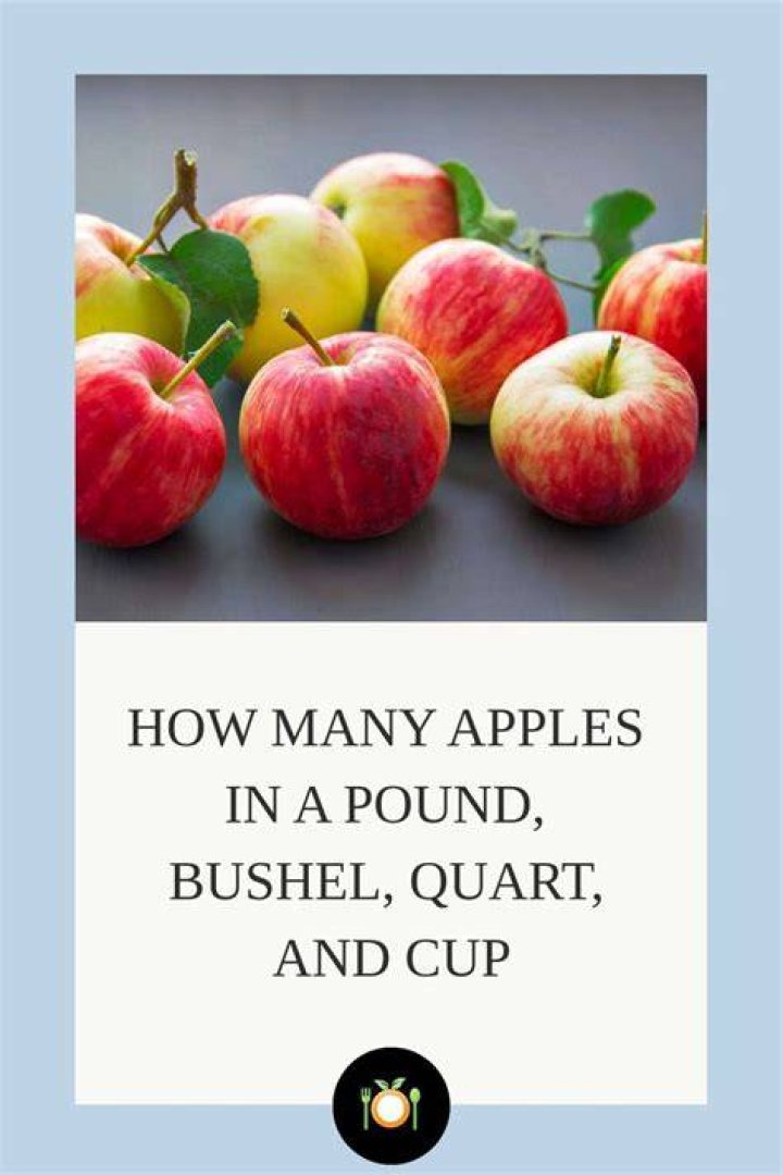 How Many Quarts In A Bushel