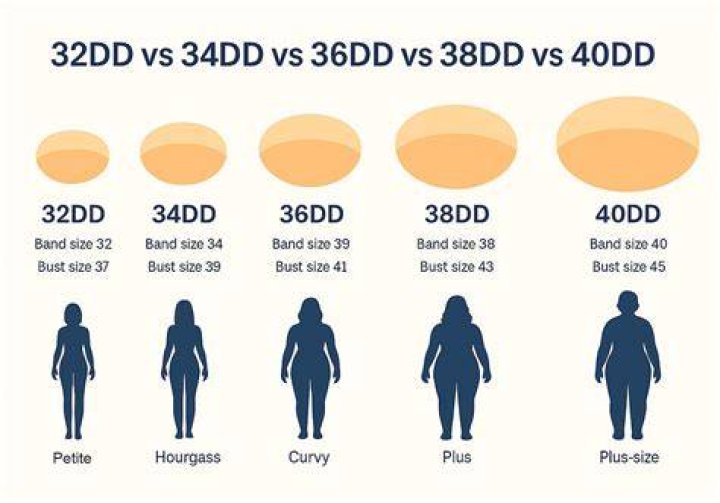 How Much Do 34ddd Weigh