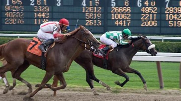 How much do jockeys make?