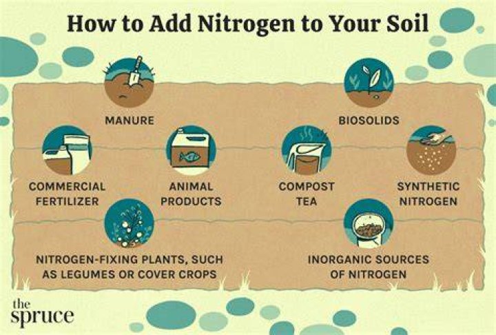 How to add nitrogen to soil