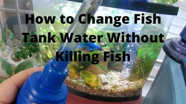 How to change fish tank water