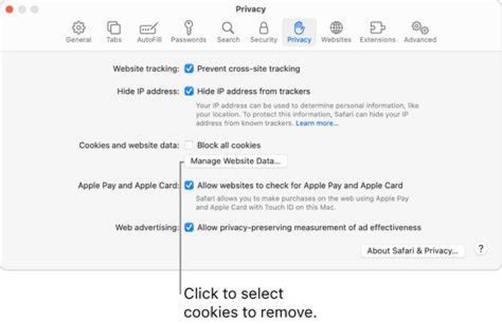 How to clear cache and cookies on mac